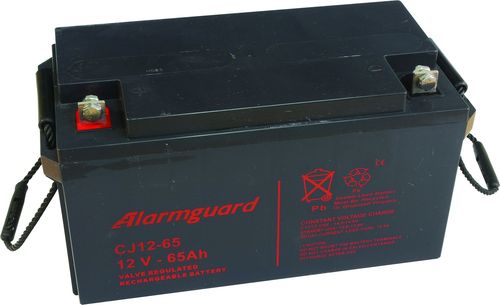 Alarmguard CJ12-65 (12V-65Ah)